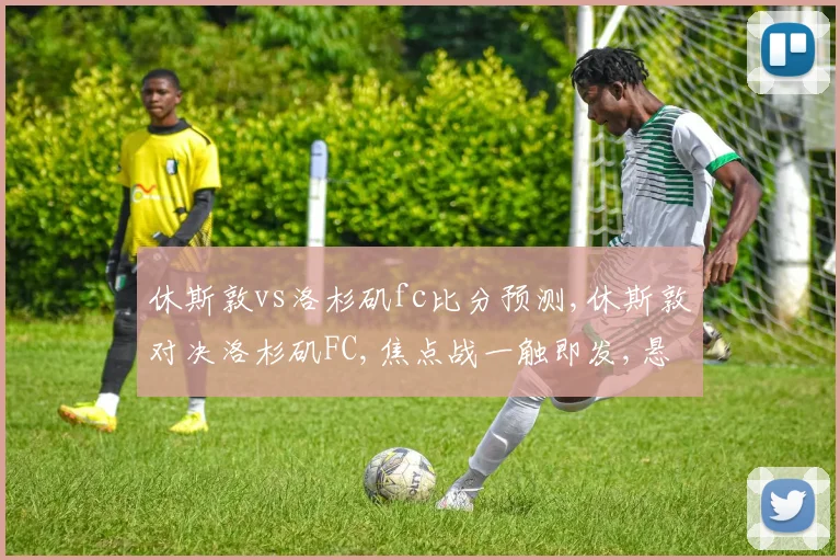 休斯敦vs洛杉矶fc比分预测,休斯敦对决洛杉矶FC,焦点战一触即发,悬念重重