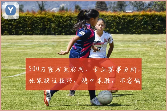 500万官方竞彩网，专业赛事分析，独家投注技巧，稳中求胜，不容错过