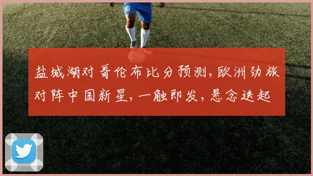 盐城湖对哥伦布比分预测,欧洲劲旅对阵中国新星,一触即发,悬念迭起,精彩不容错过,比分几何