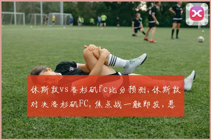 休斯敦vs洛杉矶fc比分预测,休斯敦对决洛杉矶FC,焦点战一触即发,悬念重重